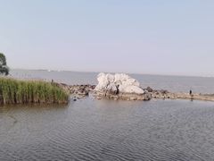 -上海吴淞炮台湾国家湿地公园