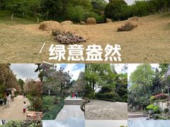 -南山植物园