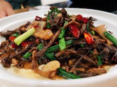 -鲜菌江湖正宗野生菌火锅