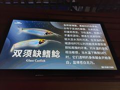 -太平洋海底世界