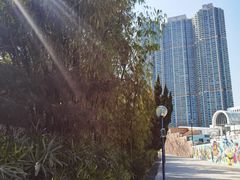 -九龙公园