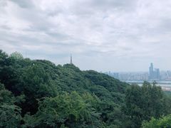 -岳麓山风景名胜区