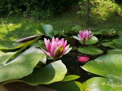 -花开海上生态园