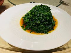 -森谷美食公园(杨行店)