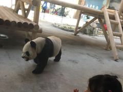 -西安秦岭野生动物园