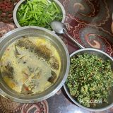 Today's meal