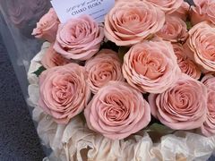 -ChaKo Flora ·茶子花艺 (市北店)