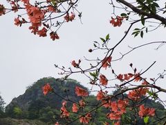 -黄山翡翠谷景区