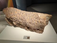 -辽宁古生物博物馆