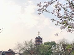 -鸡鸣赐茶(鸡鸣寺路店)