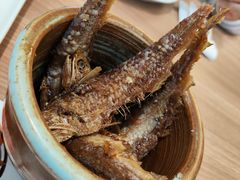 -苏小柳点心·手作小笼包(鸿寿坊分院)