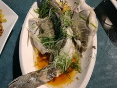 -江门古兜温泉小镇