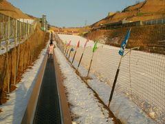 -采薇庄园四季滑雪场
