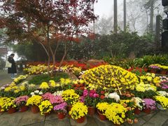 -岳麓山风景名胜区