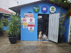 -Scarborough Fish & Chips- Tanjung Rhu