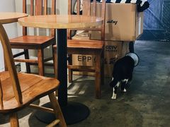 一只叫咖啡的猫-研途咖啡馆(健康路店)