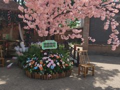 -白鹿原影视城