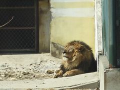 -天津市动物园