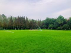 -合肥滨湖国家森林公园