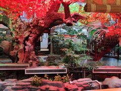 -老山东·山东菜(鲁菜名店)