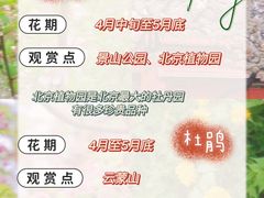 -沉浸北京·团建旅行·密室剧本杀·年会会议轰趴拓展
