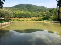 -田心森林公园