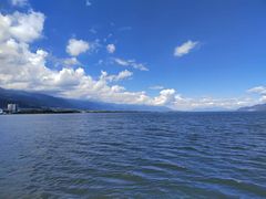 -洱海月湿地公园