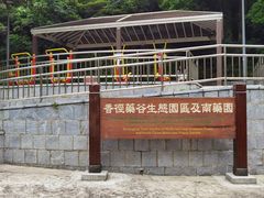-石排湾郊野公园