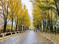 -吉林大学(前卫南区)