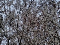 -洋湖国家湿地公园