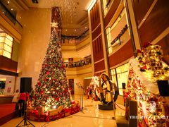 -深圳星河丽思卡尔顿酒店