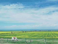 -青海湖国家重点风景名胜区售票处