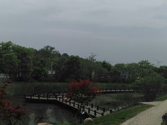 -大塘金香草谷