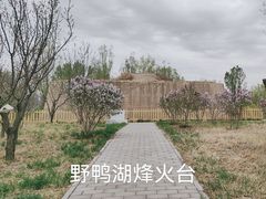 -野鸭湖国家湿地公园