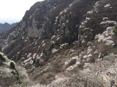 -焦作青龙峡风景名胜区