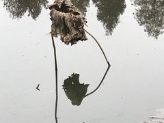 -东湖磨山景区