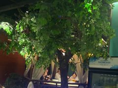 -佬麻雀·剁椒鱼头(京基KK One店)