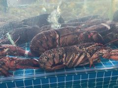 -必点蒸汽海鲜(止锚湾店)