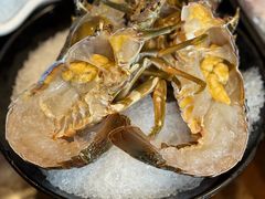-东海怡品海鲜豆捞(舟宿夜江店)