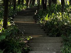 -广州市帽峰山景区