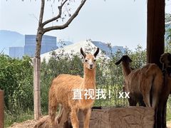 -杭州野生动物世界