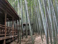 -宝岩生态观光园