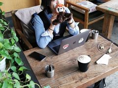 -D STAR COFFEE帝星咖啡
