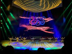 -水秀国际大剧院