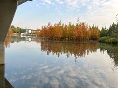 -白鹭湾湿地公园