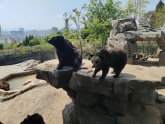 -昆明动物园