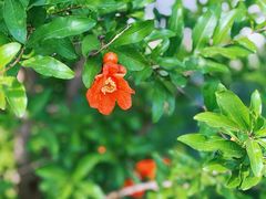 -天津东丽湖风景区