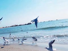 -老虎石海上公园