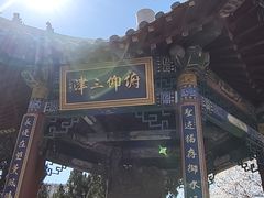 -桃花堤公园