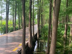 -云龙湖旅游景区